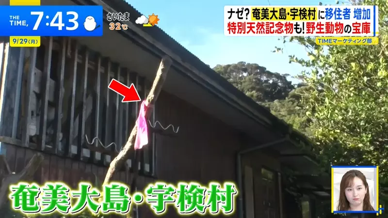 《日本離島神秘習俗》路邊出現綁著粉紅布條的棒子?其實這是讓你保命的用心棒 《日本離島神秘習俗》路邊出現綁著粉紅布條的棒子?其實這是讓你保命的用心棒