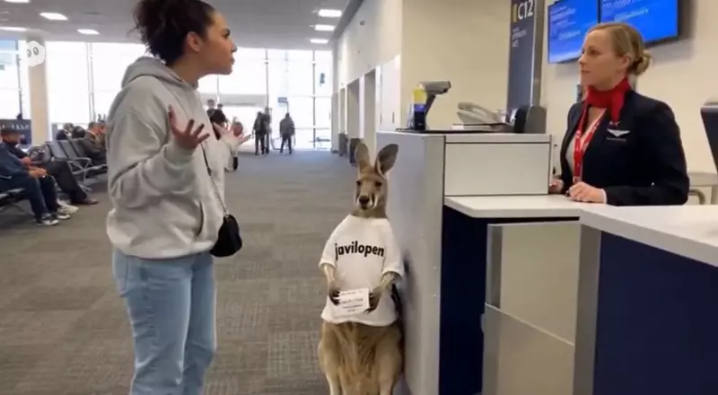 OpenAI推出新一代影音AI「Sora 2」網友實測目前的影片效果如何！？