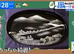 《盆石社》全日本只有這間學校有這個社團 社員都是用沙子畫畫的大和撫子？