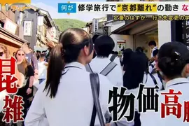 《校外教學不去京都》外國人太多又擠又貴超痛苦 日本學校紛紛改去其他地方了