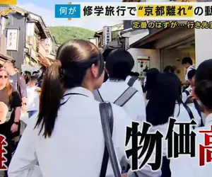 《校外教學不去京都》外國人太多又擠又貴超痛苦 日本學校紛紛改去其他地方了