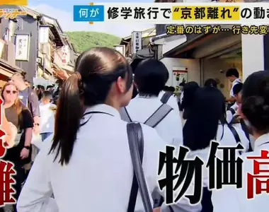 《校外教學不去京都》外國人太多又擠又貴超痛苦 日本學校紛紛改去其他地方了