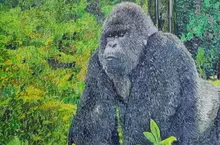 墨西哥藝術家《Edgar Zepeda Diaz》用「掃帚草」所創作的貼畫作品