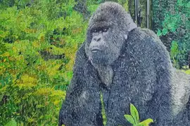 墨西哥藝術家《Edgar Zepeda Diaz》用「掃帚草」所創作的貼畫作品