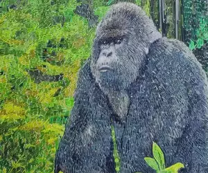 墨西哥藝術家《Edgar Zepeda Diaz》用「掃帚草」所創作的貼畫作品