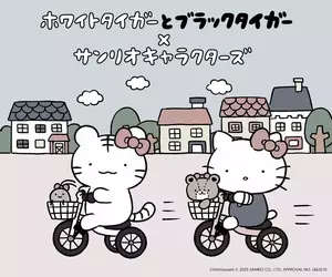 《小白虎和黑虎蝦 × 三麗鷗》聯名合作 這豆豆眼太可愛了吧