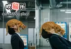 網友用AI創作的搞笑創意，如果把吸菸室改成了吸貓室，那是不是就間接實現了世界和平呢？