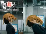網友用AI創作的搞笑創意，如果把吸菸室改成了吸貓室，那是不是就間接實現了世界和平呢？