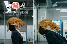 網友用AI創作的搞笑創意，如果把吸菸室改成了吸貓室，那是不是就間接實現了世界和平呢？