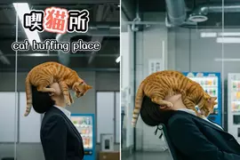 網友用AI創作的搞笑創意,如果把吸菸室改成了吸貓室,那是不是就間接實現了世界和平呢? 網友用AI創作的搞笑創意,如果把吸菸室改成了吸貓室,那是不是就間接實現了世界和平呢?