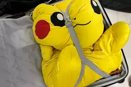網友分享自己行李箱內的皮卡丘玩偶 沒它就會睡不著所以旅行一定都會帶著(綁)