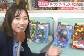 《玩具公仔拍賣會》收藏家欠稅遭法拍 有錢買玩具卻不繳稅的下場就是這樣