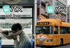 網友創作《AI貓貓巴士》如果把公車加上吸貓服務，會不會增加大家願意搭乘大眾交通工具的意願呢？