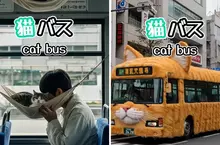 網友創作《AI貓貓巴士》如果把公車加上吸貓服務，會不會增加大家願意搭乘大眾交通工具的意願呢？