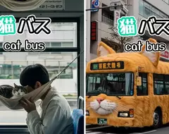 網友創作《AI貓貓巴士》如果把公車加上吸貓服務，會不會增加大家願意搭乘大眾交通工具的意願呢？