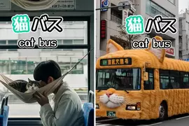 網友創作《AI貓貓巴士》如果把公車加上吸貓服務，會不會增加大家願意搭乘大眾交通工具的意願呢？