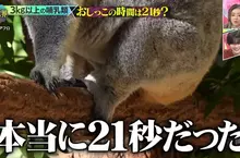 《搞笑諾貝爾獎》哺乳類尿尿平均花費21秒？綜藝節目驗證的結果是……