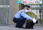 尾道市立美術館《警衛與黑貓的攻防戰》畫上休止符 黑貓ケンちゃん去世惹QQ