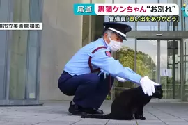 尾道市立美術館《警衛與黑貓的攻防戰》畫上休止符 黑貓ケンちゃん去世惹QQ