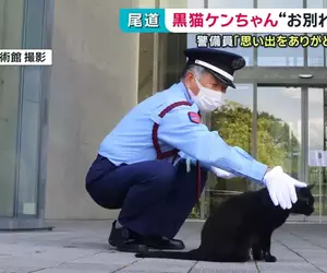 尾道市立美術館《警衛與黑貓的攻防戰》畫上休止符 黑貓ケンちゃん去世惹QQ