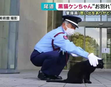 尾道市立美術館《警衛與黑貓的攻防戰》畫上休止符 黑貓ケンちゃん去世惹QQ