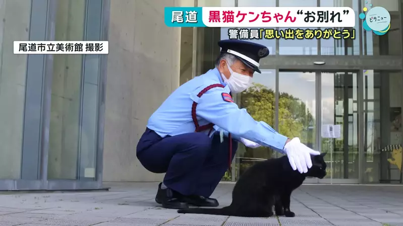 尾道市立美術館《警衛與黑貓的攻防戰》畫上休止符 黑貓ケンちゃん去世惹QQ