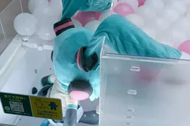 《初音未來玩偶》她的雙馬尾超容易卡洞口？日本夾娃娃機玩家分享各式案例