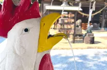 《奇妙神社禁忌》境內不能吃雞肉和雞蛋？神職人員更是代代都不能吃