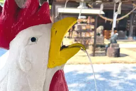 《奇妙神社禁忌》境內不能吃雞肉和雞蛋？神職人員更是代代都不能吃