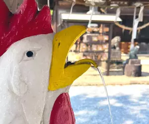 《奇妙神社禁忌》境內不能吃雞肉和雞蛋？神職人員更是代代都不能吃