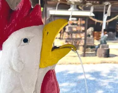 《奇妙神社禁忌》境內不能吃雞肉和雞蛋？神職人員更是代代都不能吃