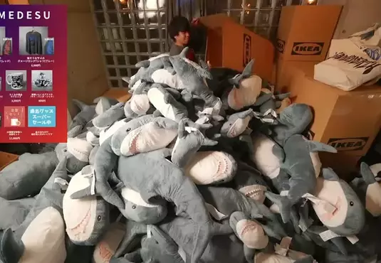 被《IKEA鯊魚》淹沒的房間 讚數達標就買一隻玩偶結果開箱直播就把房間堆滿了