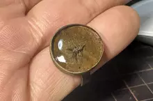 《真實版侏儸紀公園》日本模型師封存叮了自己的蚊子 將來就靠他的血復活人類了