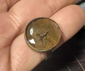 《真實版侏儸紀公園》日本模型師封存叮了自己的蚊子 將來就靠他的血復活人類了