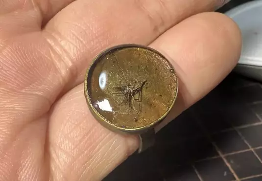 《真實版侏儸紀公園》日本模型師封存叮了自己的蚊子 將來就靠他的血復活人類了