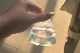 網友分享趣味3C周邊《撈金魚AirPods耳機套》拎著這個就想起了以前去夜市的點點滴滴