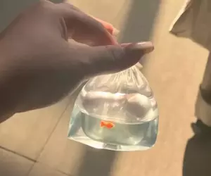 網友分享趣味3C周邊《撈金魚AirPods耳機套》拎著這個就想起了以前去夜市的點點滴滴