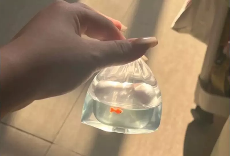 網友分享趣味3C周邊《撈金魚AirPods耳機套》拎著這個就想起了以前去夜市的點點滴滴