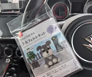 網友從大創買來《羊毛氈雪納瑞》想說嘗試一下，結果完成品朝著意想不到的地方發展