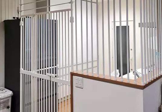 《如何防止貓咪進廚房》飼主試遍各種方法都沒用 最後決定把自己關進牢裡面