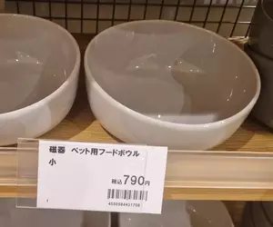 看到喜歡的碗卻驚覺是《寵物飼料碗》要不要捨棄尊嚴買給自己用呢？