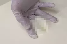 神秘爆紅影片《如何確認起司凝固狀態》日本網友全都想歪了？