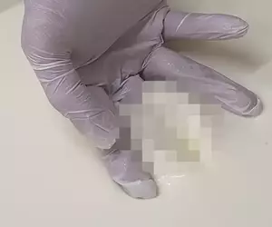 神秘爆紅影片《如何確認起司凝固狀態》日本網友全都想歪了？