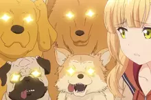 坐在椅子上《乖乖被拍照的狗》日本網友好奇這種狗狗真的很多嗎？