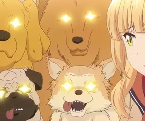 坐在椅子上《乖乖被拍照的狗》日本網友好奇這種狗狗真的很多嗎？