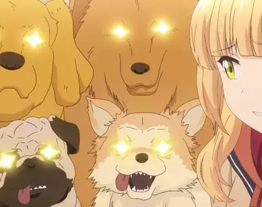 坐在椅子上《乖乖被拍照的狗》日本網友好奇這種狗狗真的很多嗎？