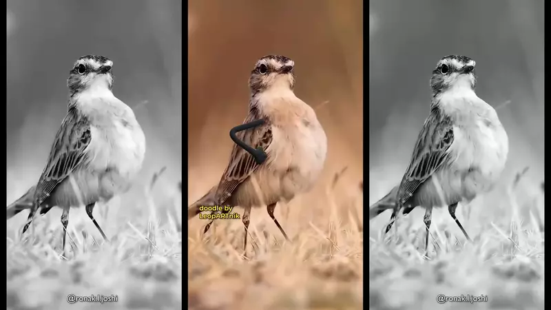 YT趣味頻道《LeopARTnik》會在動物影片裡幫忙加上手手，讓整段過程變得超好笑