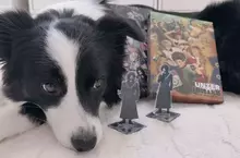 她家的狗狗超愛《獵人舞台劇》獨自看家沒播DVD就會調皮搗蛋