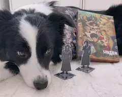 她家的狗狗超愛《獵人舞台劇》獨自看家沒播DVD就會調皮搗蛋