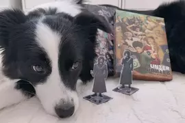 她家的狗狗超愛《獵人舞台劇》獨自看家沒播DVD就會調皮搗蛋